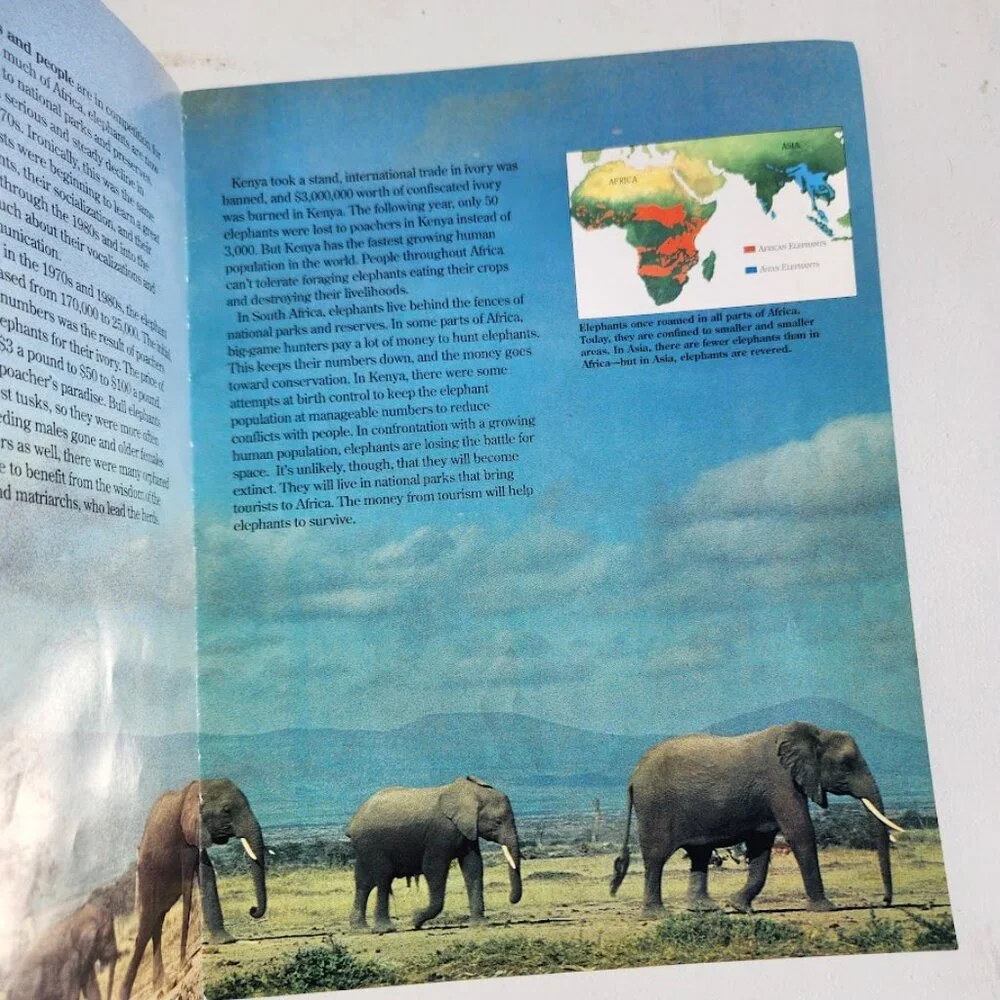 Elephants Zoobooks Kids Magazine Vintage Children's Ranger Rick John Bonnett Wex